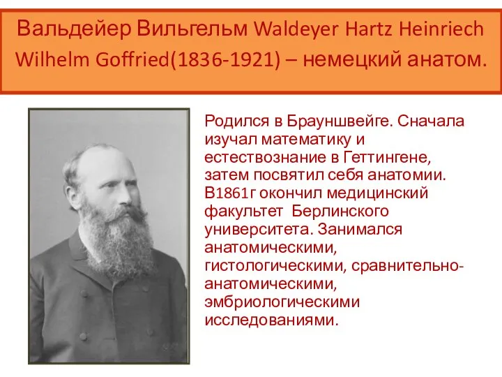 Родился в Брауншвейге. Сначала изучал математику и естествознание в Геттингене, затем