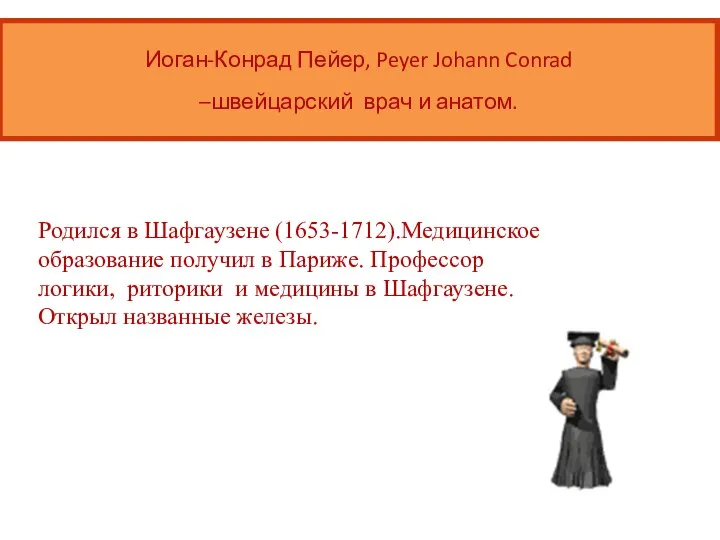 Иоган-Конрад Пейер, Peyer Johann Conrad –швейцарский врач и анатом. Родился в