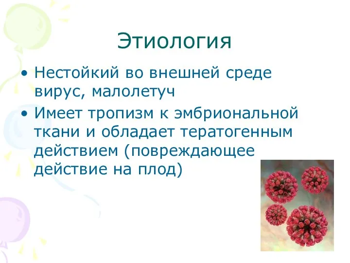 Этиология Нестойкий во внешней среде вирус, малолетуч Имеет тропизм к эмбриональной