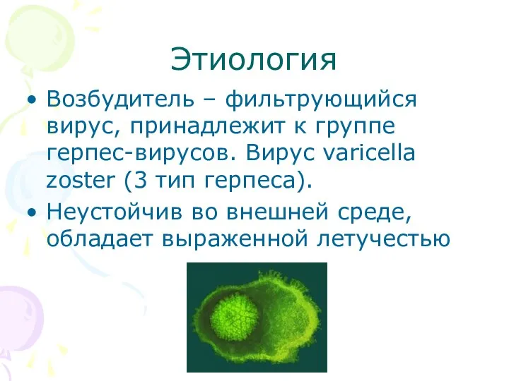Этиология Возбудитель – фильтрующийся вирус, принадлежит к группе герпес-вирусов. Вирус varicella