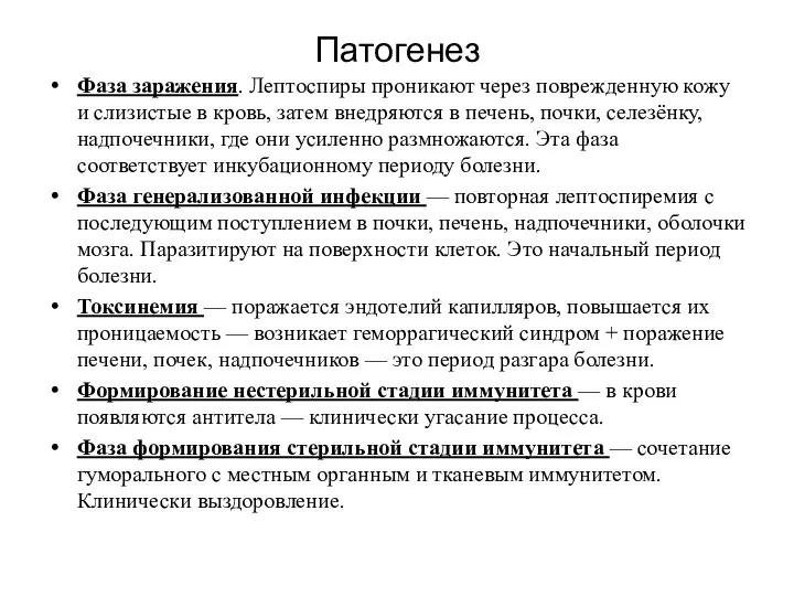 Патогенез Фаза заражения. Лептоспиры проникают через поврежденную кожу и слизистые в