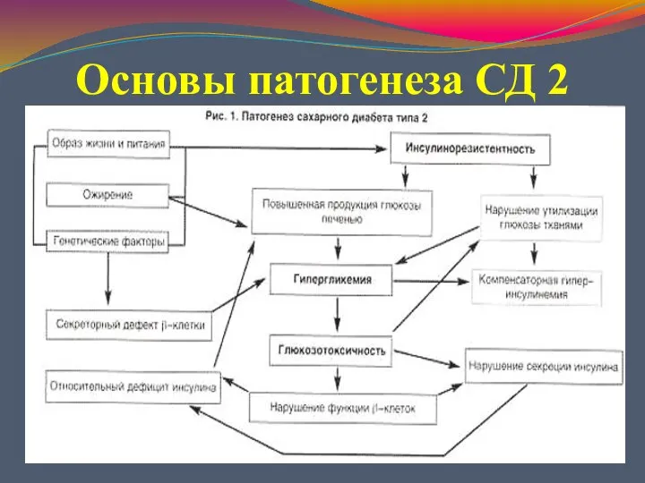 Основы патогенеза СД 2