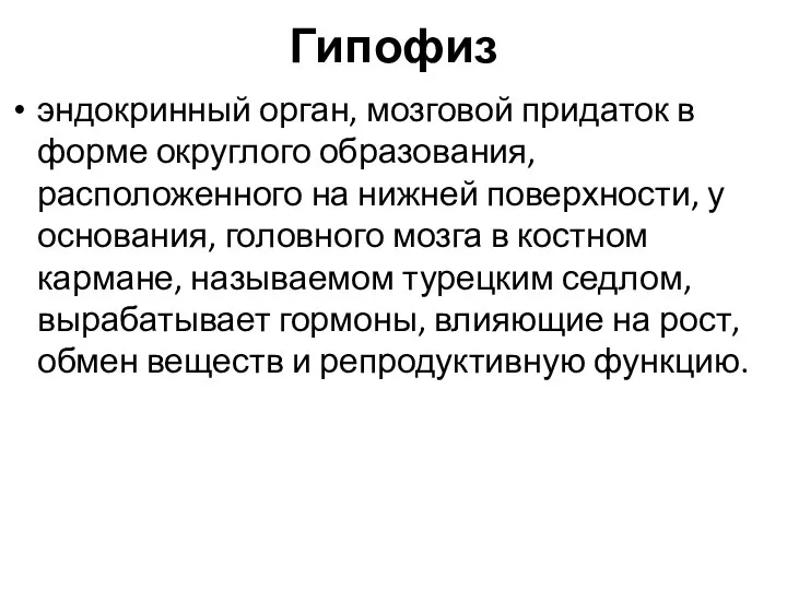 Гипофиз эндокринный орган, мозговой придаток в форме округлого образования, расположенного на