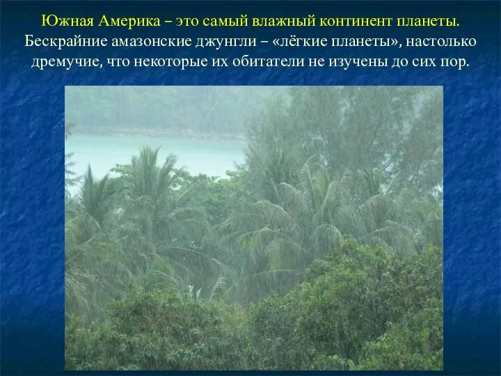 Южная Америка – это самый влажный континент планеты. Бескрайние амазонские джунгли