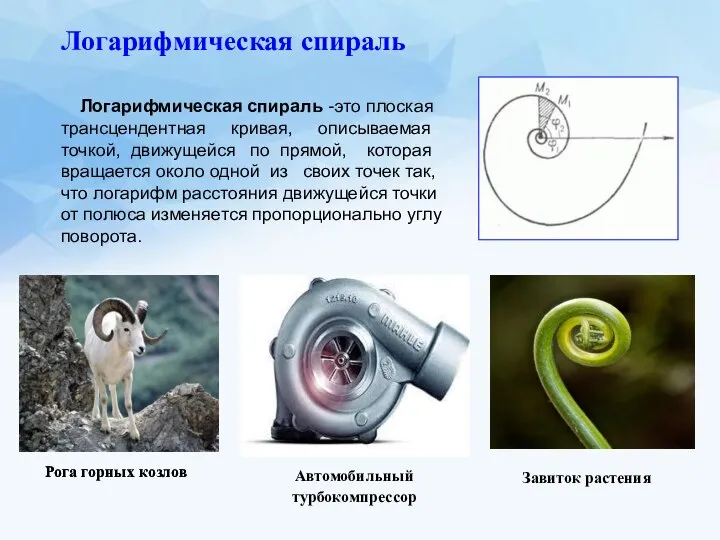 Логарифмическая спираль -это плоская трансцендентная кривая, описываемая точкой, движущейся по прямой,