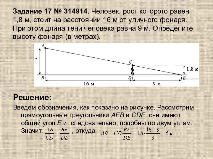 Задание 17 № 314914. Человек, рост которого равен 1,8 м, стоит