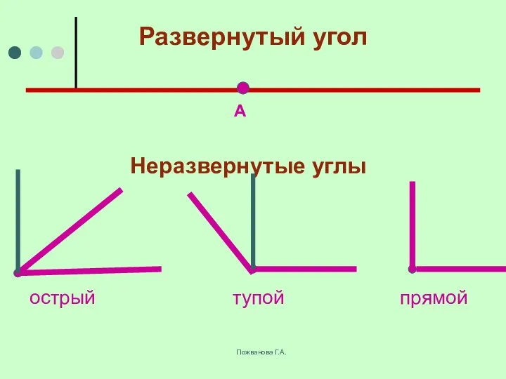 Пожванова Г.А. Развернутый угол А Неразвернутые углы острый тупой прямой