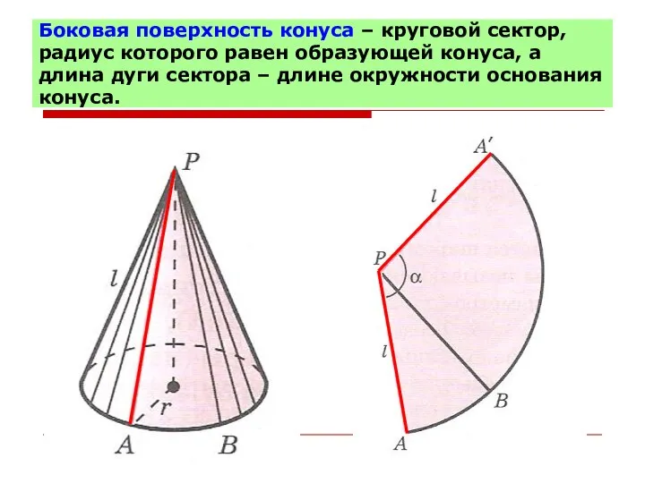 Боковая поверхность конуса – круговой сектор, радиус которого равен образующей конуса,