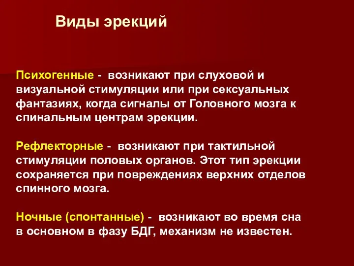 Виды эрекций Психогенные - возникают при слуховой и визуальной стимуляции или