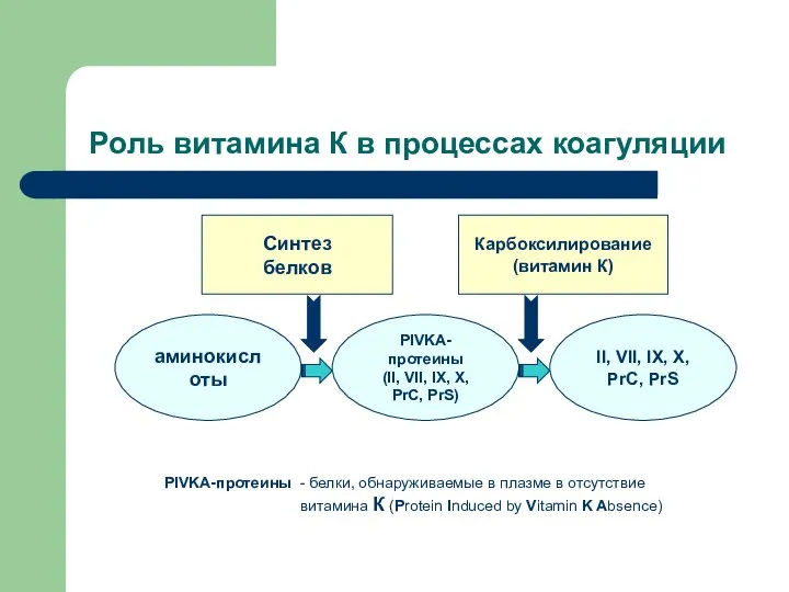 Роль витамина К в процессах коагуляции PIVKA-протеины (II, VII, IX, X,