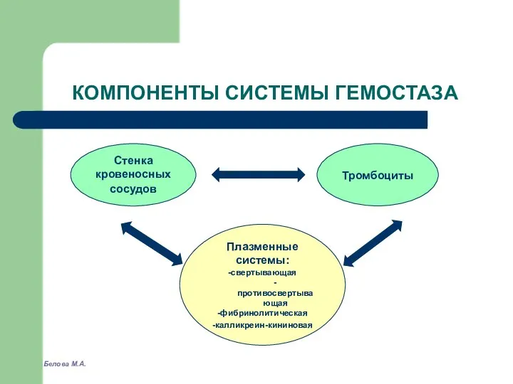 КОМПОНЕНТЫ СИСТЕМЫ ГЕМОСТАЗА Белова М.А.