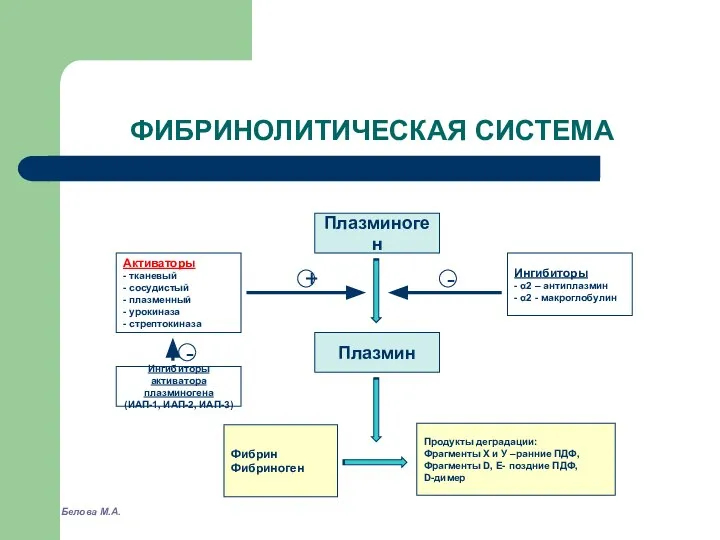 ФИБРИНОЛИТИЧЕСКАЯ СИСТЕМА Плазминоген Активаторы - тканевый - сосудистый - плазменный -