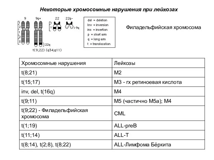 Филадельфийская хромосома Некоторые хромосомные нарушения при лейкозах