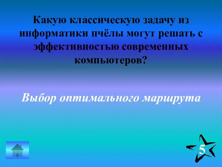 Какую классическую задачу из информатики пчёлы могут решать с эффективностью современных компьютеров? Выбор оптимального маршрута 5