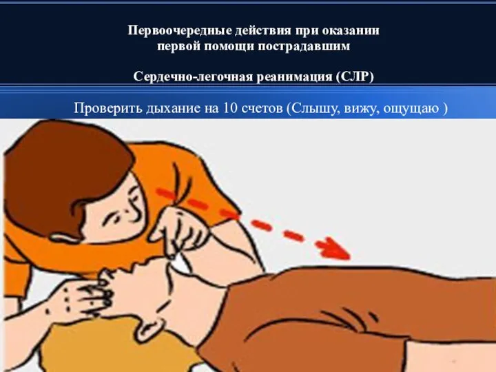 Первоочередные действия при оказании первой помощи пострадавшим Сердечно-легочная реанимация (СЛР) Проверить