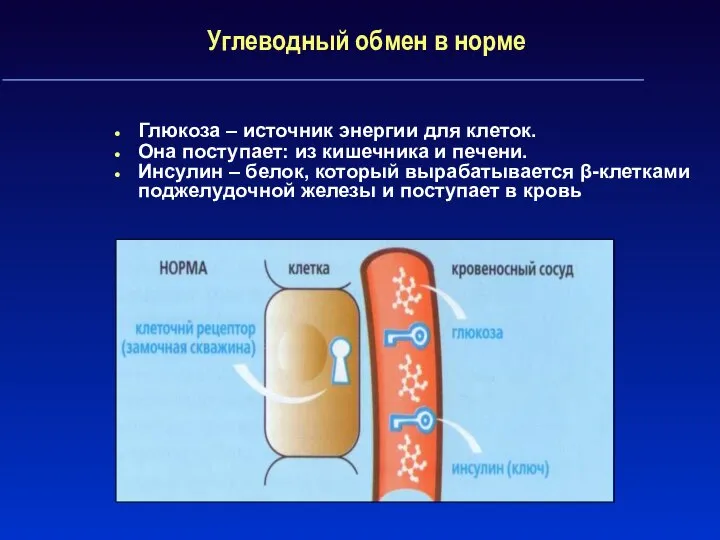 Углеводный обмен в норме Глюкоза – источник энергии для клеток. Она