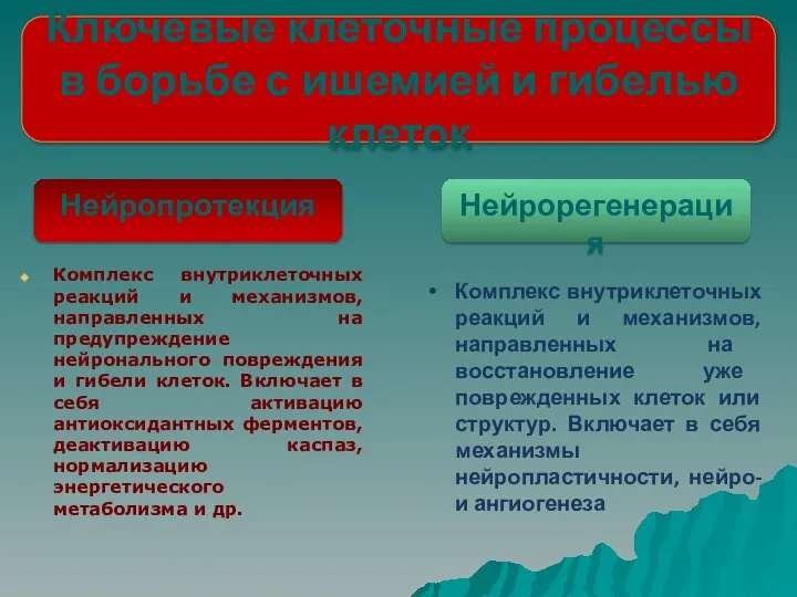 Ключевые клеточные процессы в борьбе с ишемией и гибелью клеток Нейропротекция