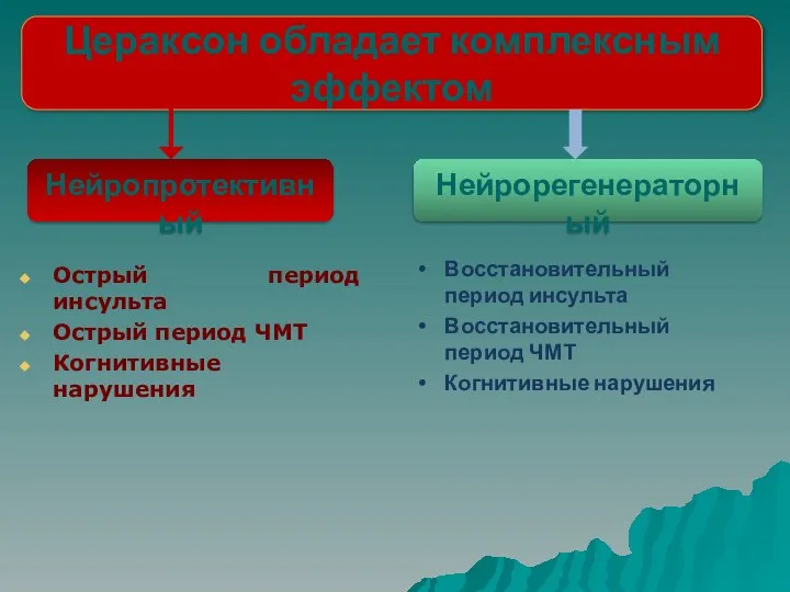 Цераксон обладает комплексным эффектом Нейропротективный Нейрорегенераторный Острый период инсульта Острый период