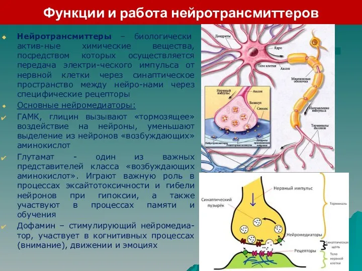 Функции и работа нейротрансмиттеров Нейротрансмиттеры – биологически актив-ные химические вещества, посредством