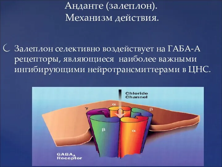 Анданте (залеплон). Механизм действия. Залеплон селективно воздействует на ГАБА-А рецепторы, являющиеся