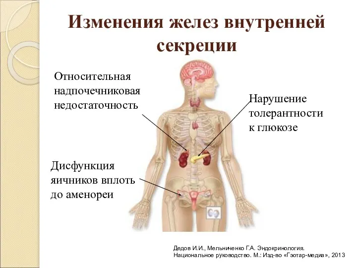 Изменения желез внутренней секреции Относительная надпочечниковая недостаточность Дисфункция яичников вплоть до