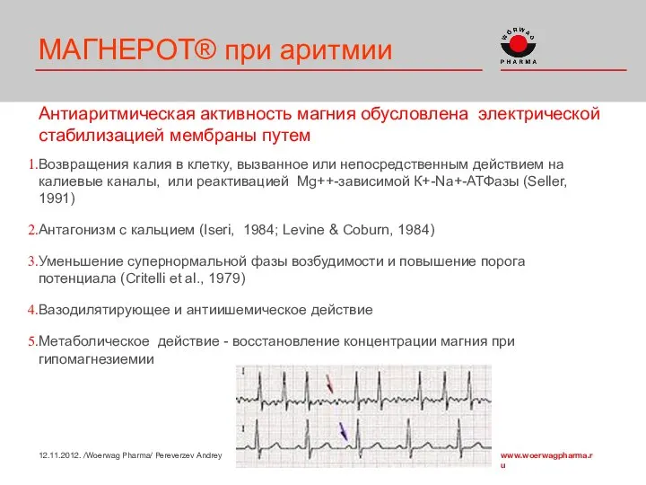 МАГНЕРОТ® при аритмии Антиаритмическая активность магния обусловлена электрической стабилизацией мембраны путем