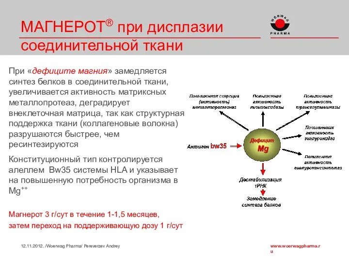 При «дефиците магния» замедляется синтез белков в соединительной ткани, увеличивается активность