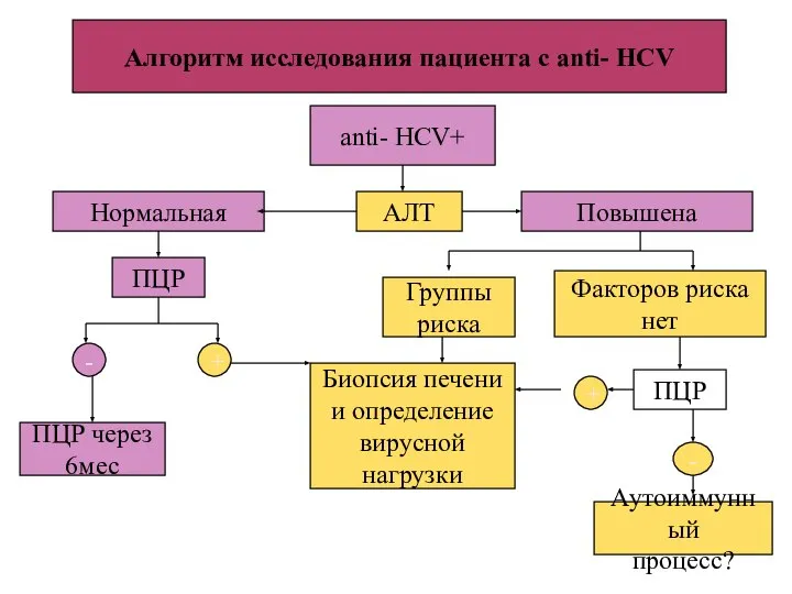 Алгоритм исследования пациента с anti- HCV anti- HCV+ АЛТ Нормальная Повышена