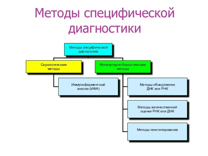 Методы специфической диагностики