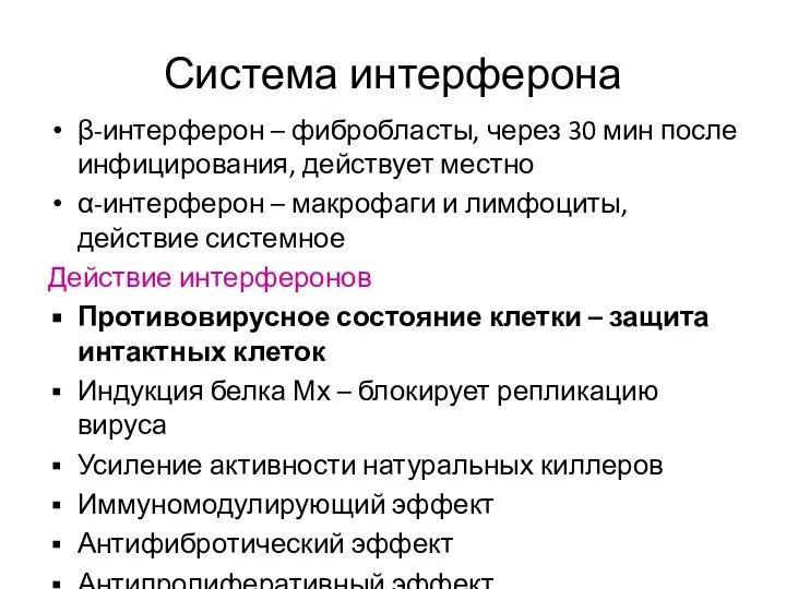 Система интерферона β-интерферон – фибробласты, через 30 мин после инфицирования, действует