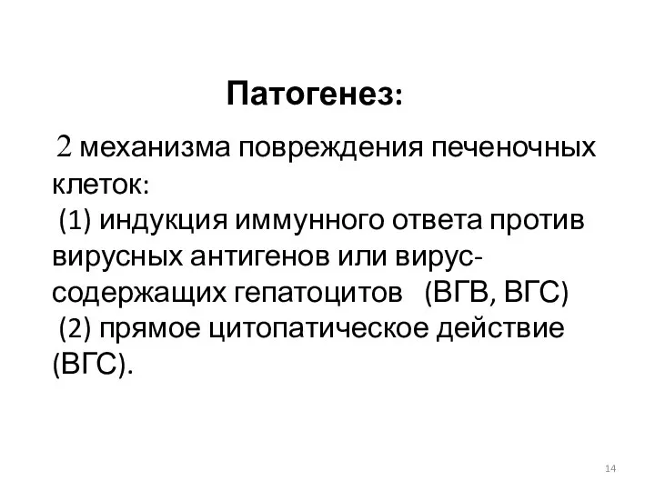 Патогенез: 2 механизма повреждения печеночных клеток: (1) индукция иммунного ответа против