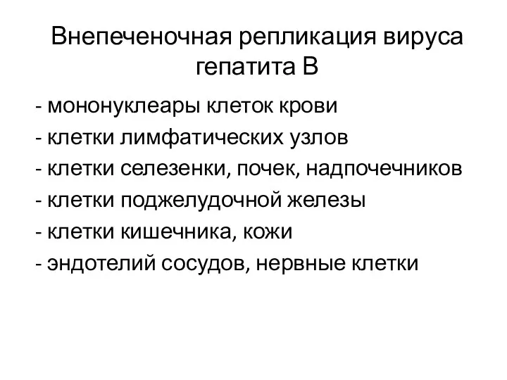 Внепеченочная репликация вируса гепатита В - мононуклеары клеток крови - клетки