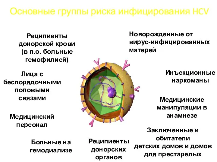 Реципиенты донорской крови (в п.о. больные гемофилией) Лица с беспорядочными половыми