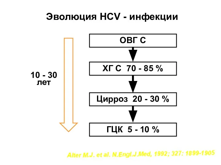 Эволюция HCV - инфекции ОВГ C ХГ С 70 - 85