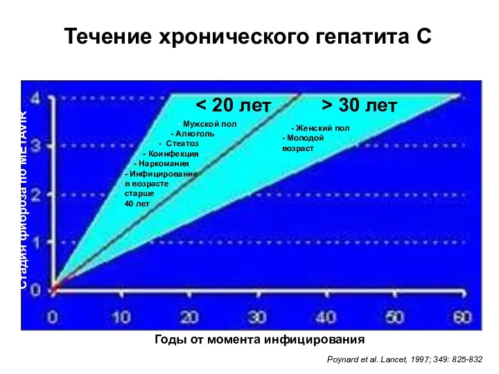 Течение хронического гепатита С - Мужской пол - Алкоголь - Стеатоз