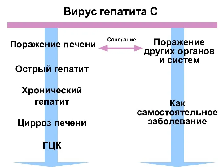 Вирус гепатита С