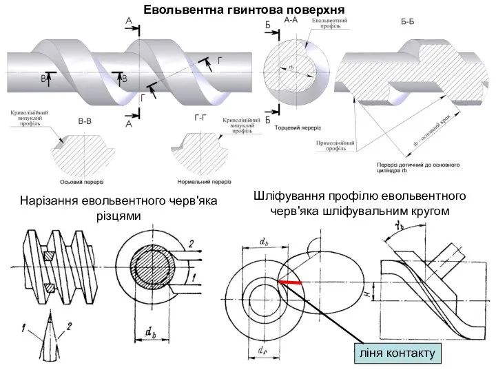 Евольвентна гвинтова поверхня Нарізання евольвентного черв'яка різцями Шліфування профілю евольвентного черв'яка шліфувальним кругом ліня контакту