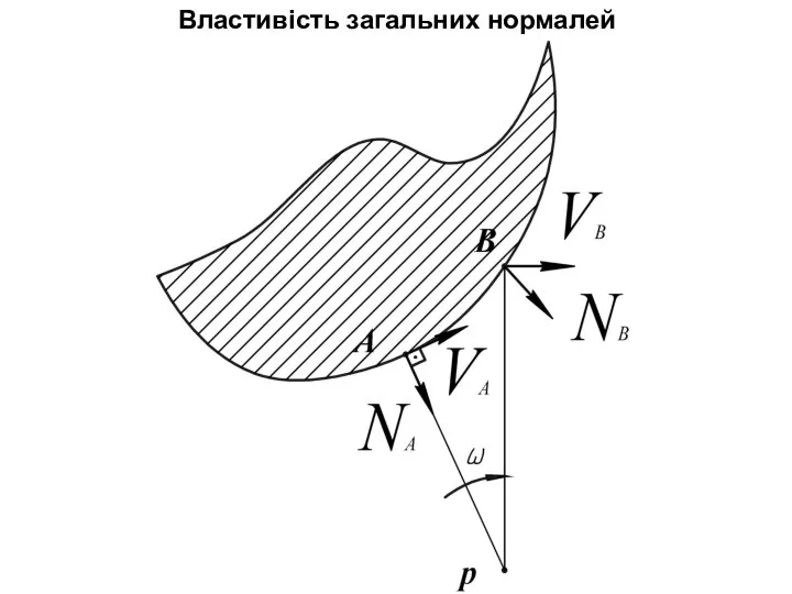 Властивість загальних нормалей