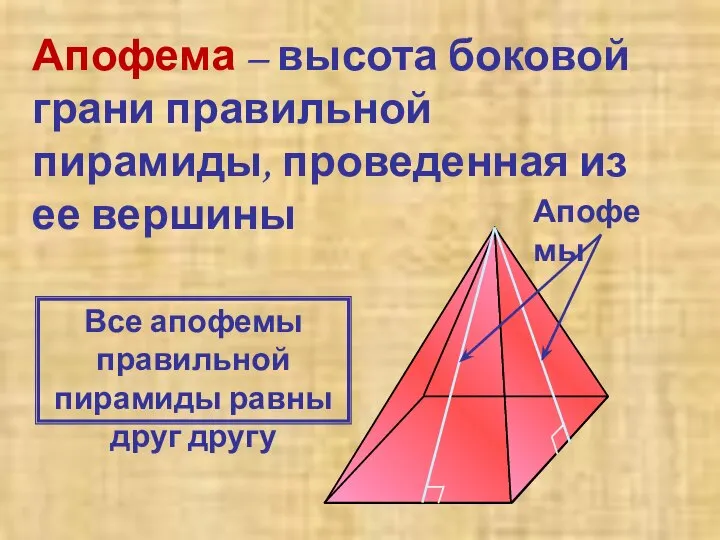 Апофема – высота боковой грани правильной пирамиды, проведенная из ее вершины