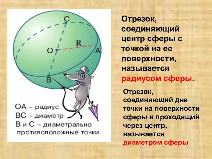 Отрезок, соединяющий центр сферы с точкой на ее поверхности, называется радиусом