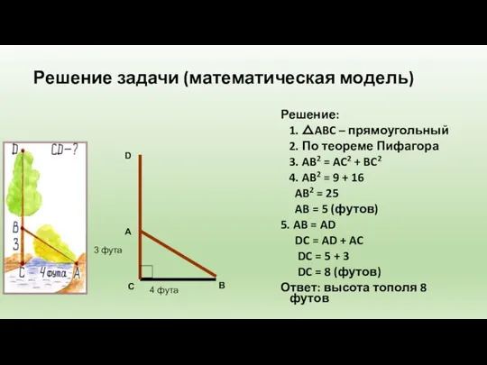 Решение задачи (математическая модель) Решение: 1. △ABC – прямоугольный 2. По