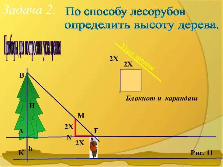 Задача 2. По способу лесорубов определить высоту дерева. Приборы для построения
