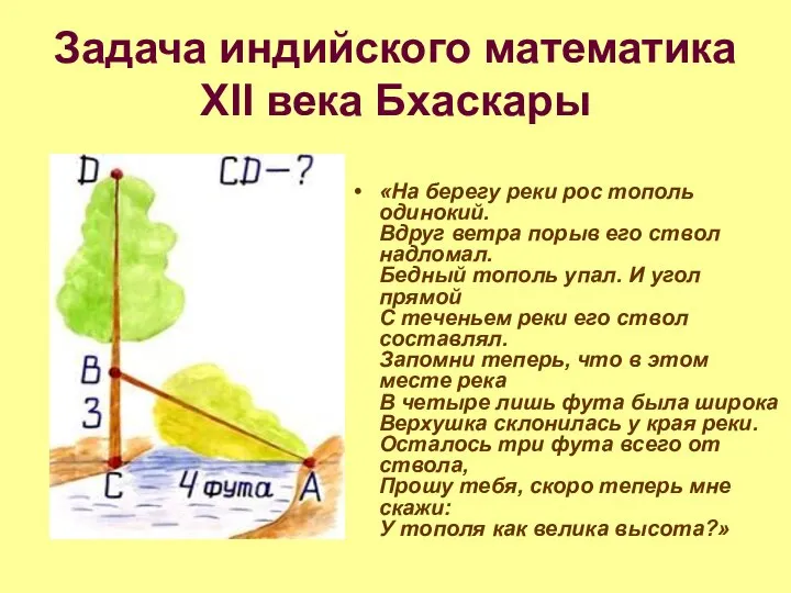 Задача индийского математика XII века Бхаскары «На берегу реки рос тополь