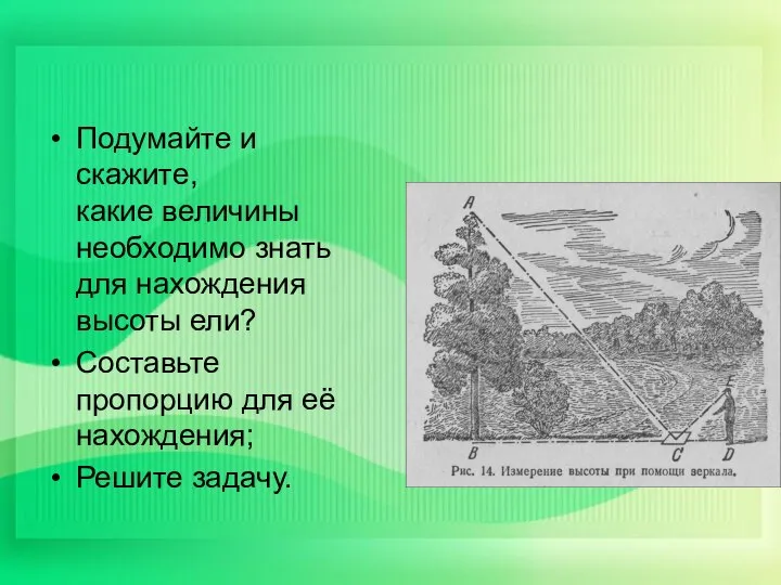 Подумайте и скажите, какие величины необходимо знать для нахождения высоты ели?