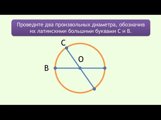 О Проведите два произвольных диаметра, обозначив их латинскими большими буквами С и В. С В