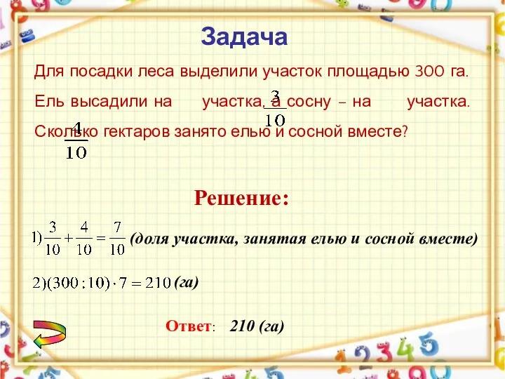 Для посадки леса выделили участок площадью 300 га. Ель высадили на