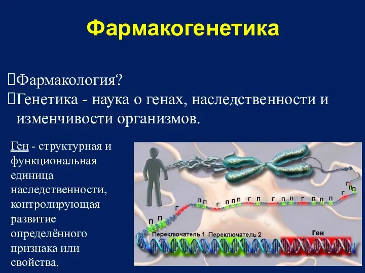 Фармакогенетика Фармакология? Генетика - наука о генах, наследственности и изменчивости организмов.
