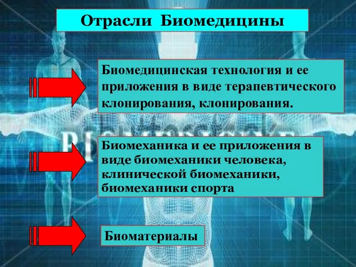 Отрасли Биомедицины Биомедицинская технология и ее приложения в виде терапевтического клонирования,