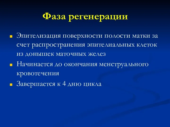 Фаза регенерации Эпителизация поверхности полости матки за счет распространения эпителиальных клеток