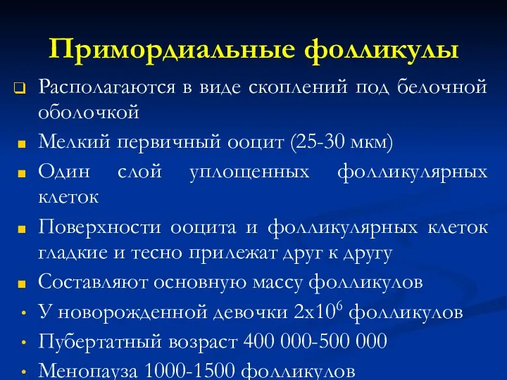 Примордиальные фолликулы Располагаются в виде скоплений под белочной оболочкой Мелкий первичный